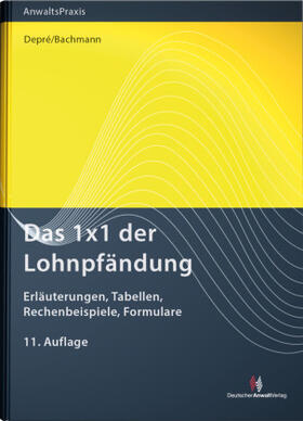 Das 1x1 der Lohnpfändung - Mängelexemplar, kann leichte Gebrauchsspuren aufweisen. Sonderangebot ohne Rückgaberecht. Nur so lange der Vorrat reicht.