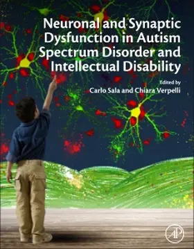 Neuronal and Synaptic Dysfunction in Autism Spectrum Disorde