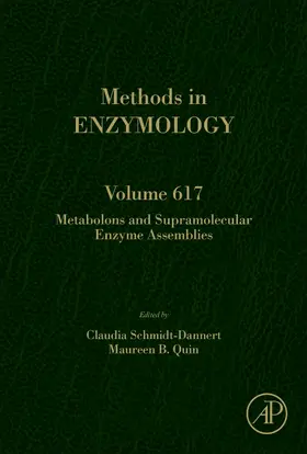 Metabolons and Supramolecular Enzyme Assemblies