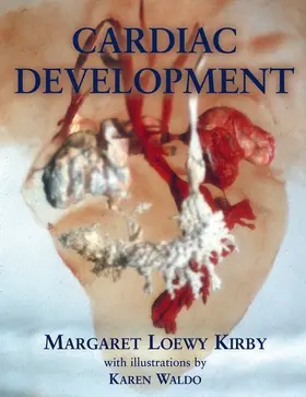 Cardiac Development