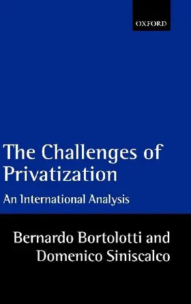 The Problems of Privatization