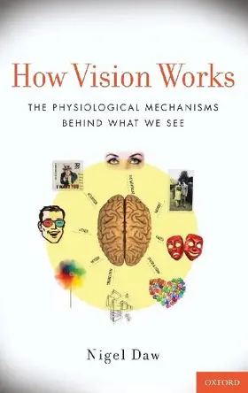 How Vision Works