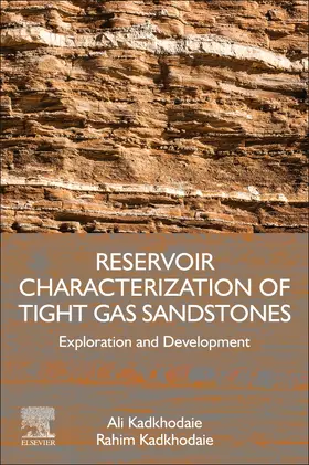 Reservoir Characterization of Tight Gas Sandstones