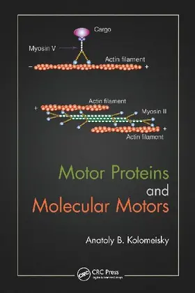 Motor Proteins and Molecular Motors