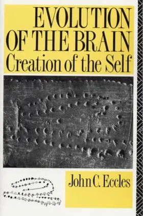 Evolution of the Brain