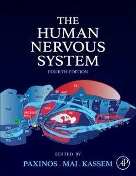 The Human Nervous System