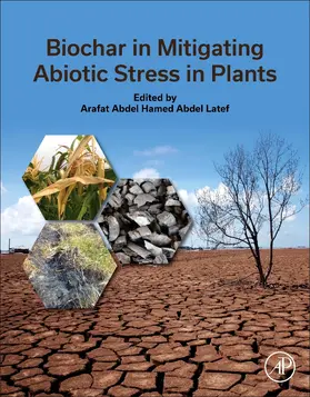 Biochar in Mitigating Abiotic Stress in Plants