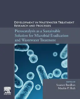 Piezocatalysis as a Sustainable Solution for Microbial Eradication and Wastewater Treatment