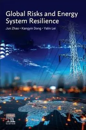 Global Risks and Energy System Resilience