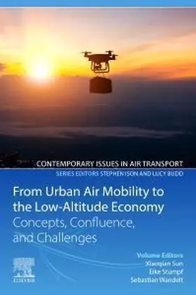 From Urban Air Mobility to the Low-Altitude Economy