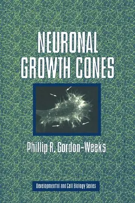Neuronal Growth Cones