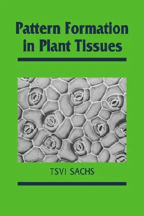Pattern Formation in Plant Tissues