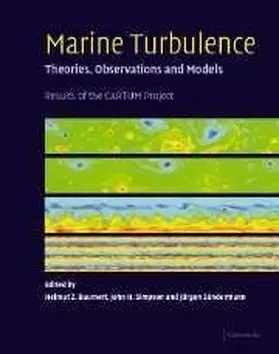 Marine Turbulence