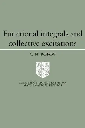 Functional Integrals and Collective Excitations