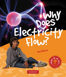 Why Does Electricity Flow?