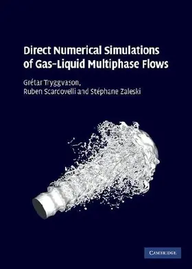 Direct Numerical Simulations of Gas-Liquid Multiphase             Flows