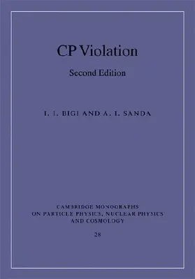 CP Violation