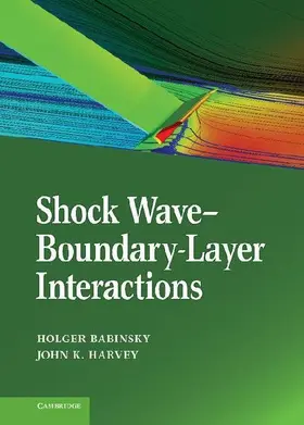 Shock Wave-Boundary-Layer Interactions
