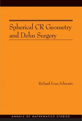 Spherical CR Geometry and Dehn Surgery