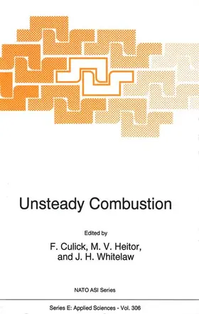 Unsteady Combustion