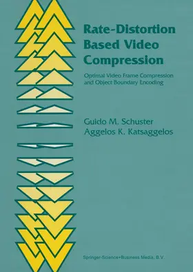 Rate-Distortion Based Video Compression
