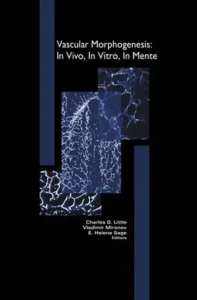 Vascular Morphogenesis: In Vivo, in Vitro, in Mente