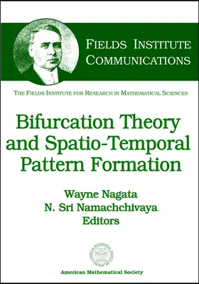 Bifurcation Theory and Spatio-temporal Pattern Formation