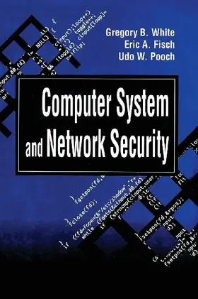 Computer System and Network Security