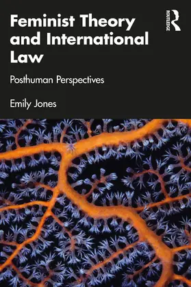 Feminist Theory and International Law