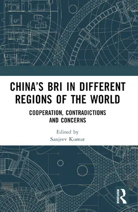 China's BRI in Different Regions of the World