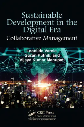 Sustainable Development in the Digital Era