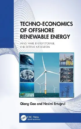 Techno-Economics of Offshore Renewable Energy