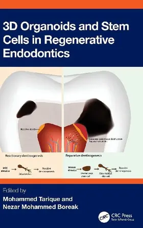 3D Organoids and Stem Cells in Regenerative Endodontics