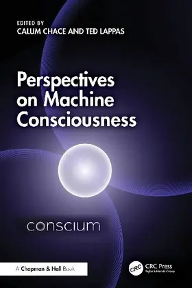Perspectives on Machine Consciousness