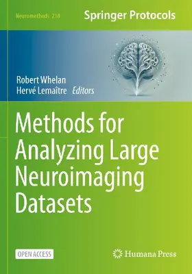 Methods for Analyzing Large Neuroimaging Datasets
