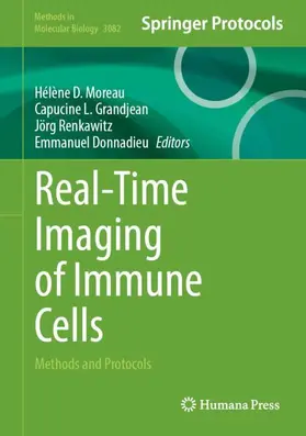 Real-Time Imaging of Immune Cells