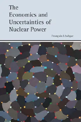 The Economics and Uncertainties of Nuclear Power