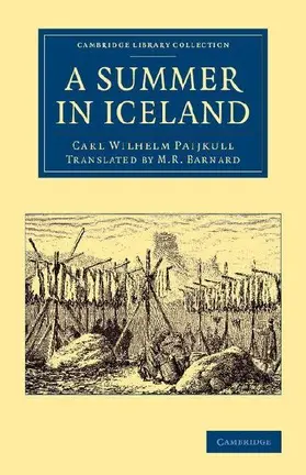 A Summer in Iceland