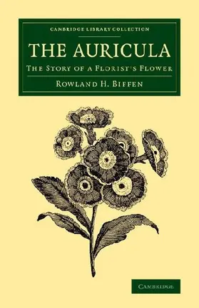 The Auricula