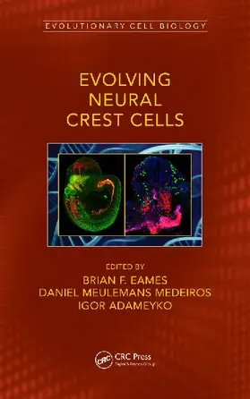 Evolving Neural Crest Cells