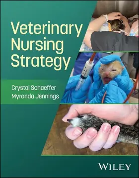 Veterinary Nursing Strategy