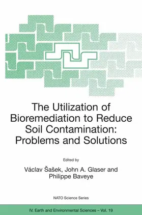 The Utilization of Bioremediation to Reduce Soil Contamination: Problems and Solutions