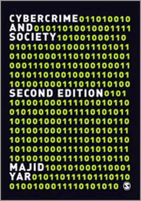 Cybercrime and Society