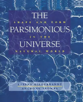 The Parsimonious Universe
