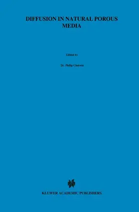 Diffusion in Natural Porous Media