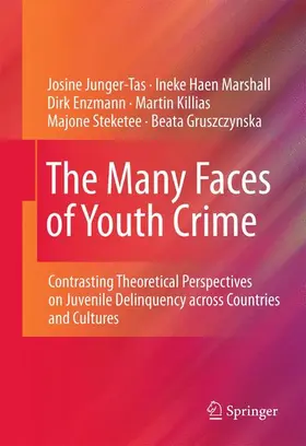 The Many Faces of Youth Crime