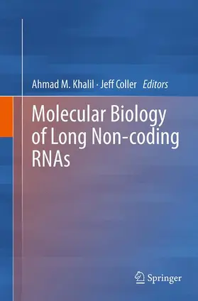 Molecular Biology of Long Non-coding RNAs