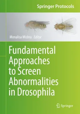 Fundamental Approaches to Screen Abnormalities in Drosophila