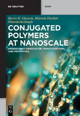 Conjugated Polymers at Nanoscale