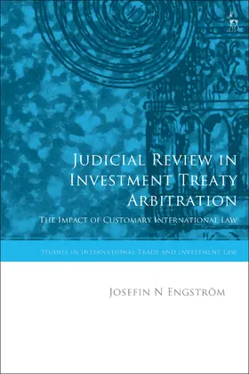 Judicial Review in Investment Treaty Arbitration